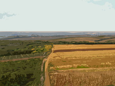 空中乡村风景向量背景。秋季小麦收获