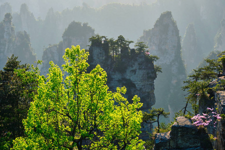 张家界山脉, 中国