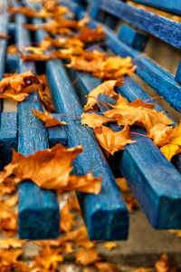 黄色橙色的秋枫叶在公园的蓝色木凳上模糊而透视。 复制空间。