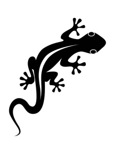 抽象的黑色符号或标志蜥蜴孤立在白色背景上。 平面图标矢量插图