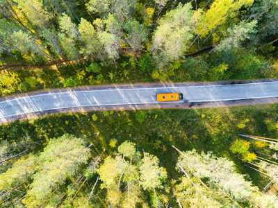 s eye road with car. Aerial top view forest. Texture of forest v