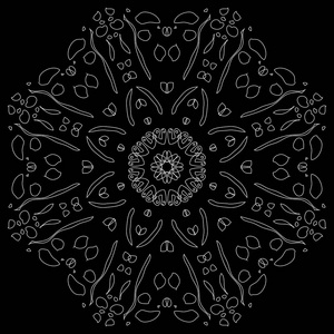 黑色轮廓花边框. 请柬用花边矢量插图矢量手绘制的画笔