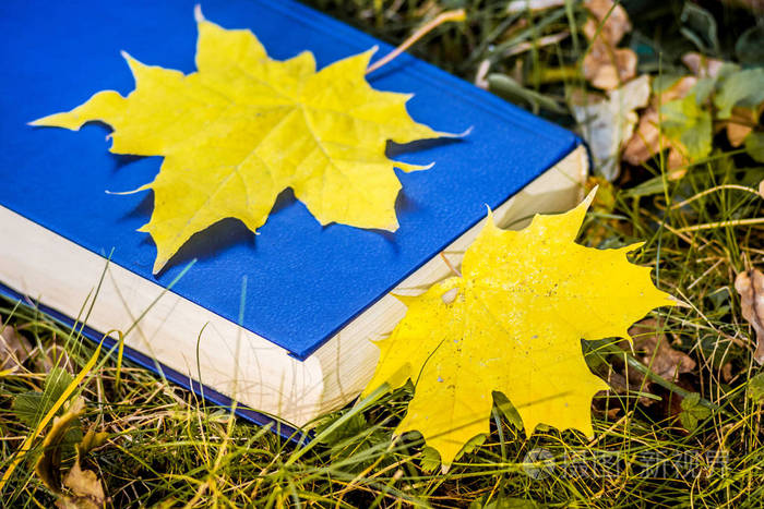 秋天森林里草地上的一本书照片-正版商用图片13seh3-摄图新视界