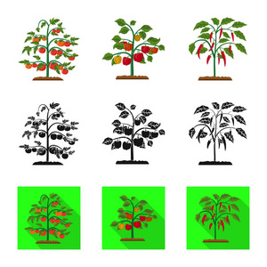 温室和植物符号的向量例证。温室和庭院股票载体例证的汇集