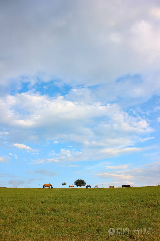 德国南部夏季傍晚的地平线天空和田野