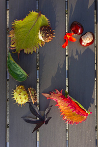 五颜六色的落叶，棕色的栗子装饰在木桌上，背景是黄昏的日落，温暖的阳光