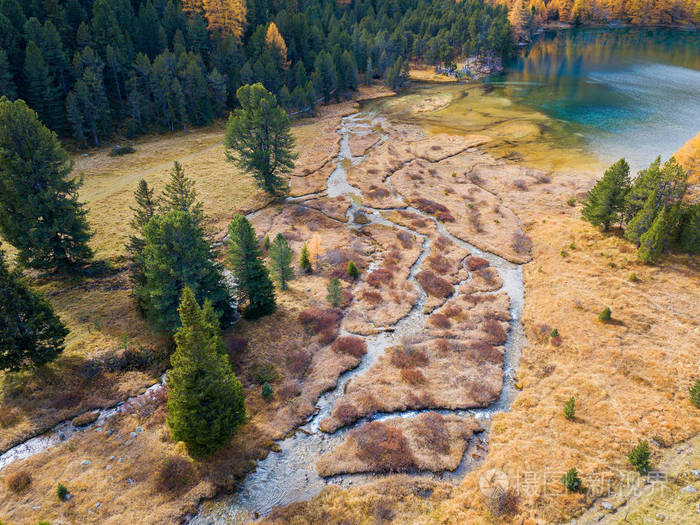 无人驾驶飞机图像的湿地与帕普戈纳湖汇合在国家公园埃拉在瑞士格里斯州
