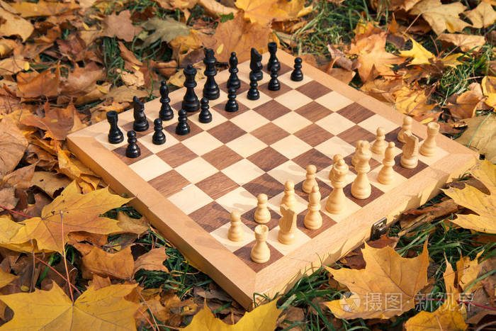 城市公园里长满枯黄叶的草地上的木制棋盘和棋子