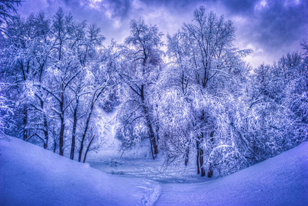 冬季公园冬天的风景与白雪皑皑的树木冬季下雪场景在复古色调