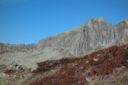 在瑞士阿尔卑斯山徒步旅行