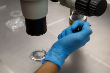 体外受精IVF临床实验室设备。 显微镜管氮实验室化学操作的其他装置