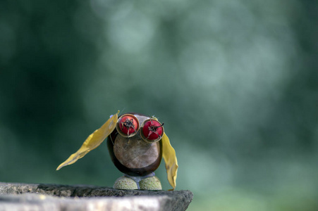 栗子动物树墩上的子,栗子,橡子,黄叶,红山楂果,绿色背景上的疯鸟照片