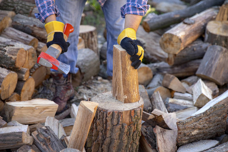 砍了强壮的伐木工人双手拿着斧头,砍下大树屑飞走了. 斧头在树桩上.