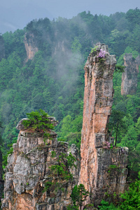 张家界山脉, 中国