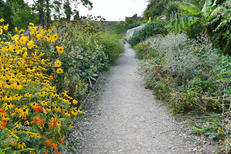 穿越宁静花园的石路风景