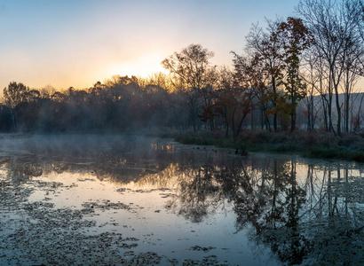俄罗斯远东清晨雾蒙蒙的秋季景观。 城市住宅区公园里的场景。