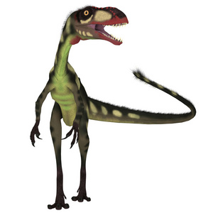 地龙是白垩纪生活在中国的一种食肉性小食动物恐龙.照片