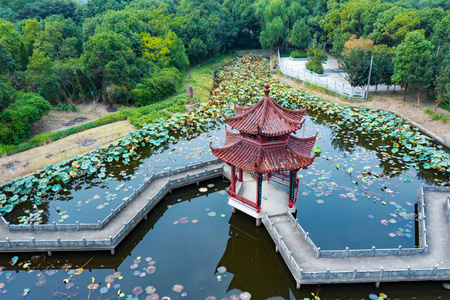 水上亭子图片