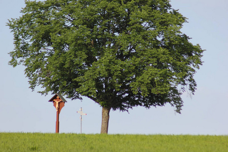 6月在德国南部阳光明媚的一天，你会看到骑自行车的人开车去树上，树旁有宗教十字架