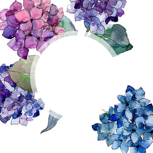 水彩紫色 gortenzia 花。花卉植物花卉。框架边框装饰方形