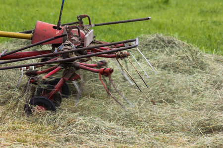 在德国南部6月一个阳光明媚的日子里，你看到拖拉机和他们的动物做干草食物