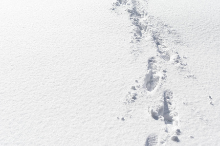 雪背景与脚轨道, 纹理