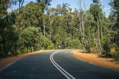 孤独的道路景观和许多树木