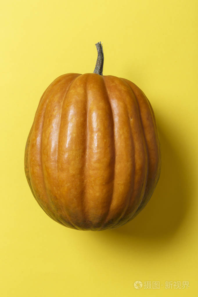 有用的秋菜全圆南瓜在黄色背景上德克萨斯的地方