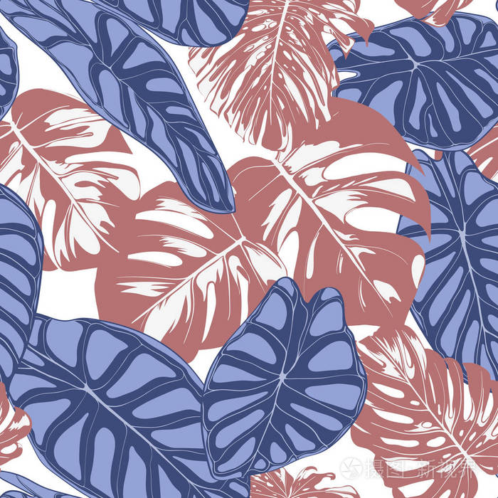 与热带植物无缝的异国风情图案.矢量背景用手画龟背竹棕榈叶.