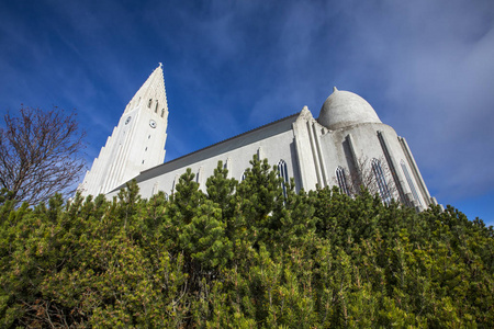 俯瞰壮丽的雷克雅未克大教堂，也被称为冰岛雷克雅未克市的hallgrimskirkjaLutheran教堂。