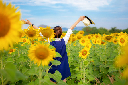 重新生活在向日葵花田里,在夏日里,在快乐的职业中,重新审视旅行生活