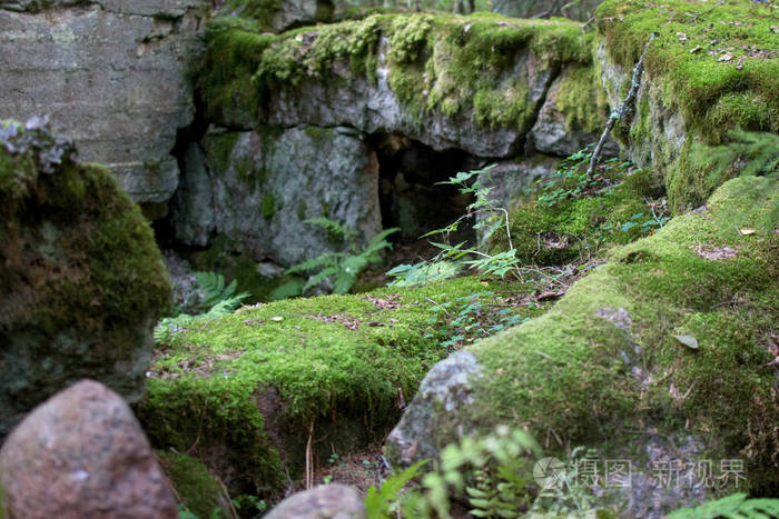 野生森林中古老的遗迹和石头