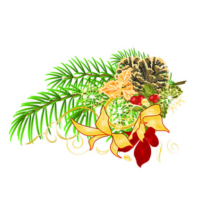 圣诞节和新年装饰树枝圣诞树节日一品红和松果节日形象设计，复古矢量插图可编辑手绘