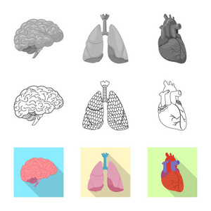 物体和人体图标的孤立对象。身体和医学股票向量例证的汇集