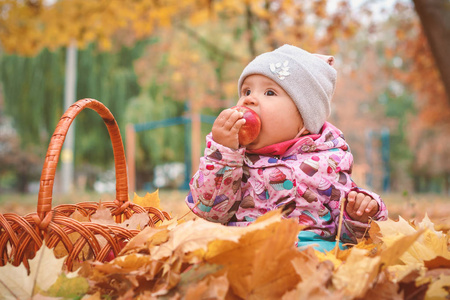 迷人的孩子玩苹果和黄色的叶子。可爱的蹒跚学步的小女孩，穿着秋装，坐在树叶里。
