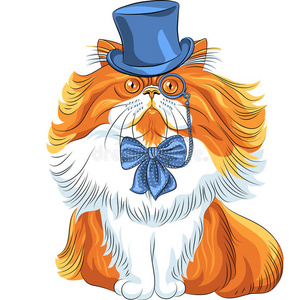 矢量搞笑卡通时髦波斯猫插画