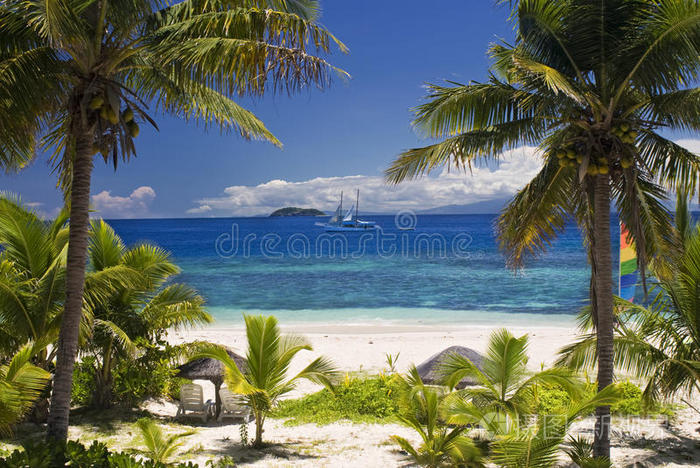 斐济努卡群岛棕榈树中的帆船