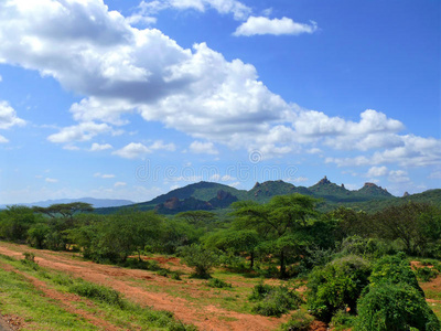 森林覆盖的山脉。景观自然。非洲，埃塞俄比亚。
