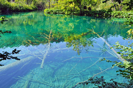 克罗地亚普利特维兹的绿松石湖
