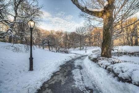 暴风雪过后的中央公园