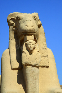 kom ombo双宫公羊