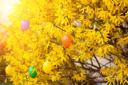 树上挂着复活节彩蛋