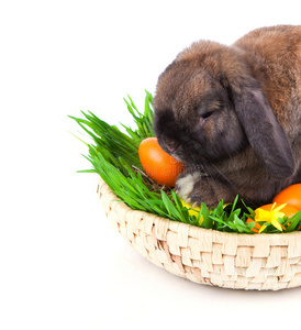 篮子里放着复活节彩蛋的兔子