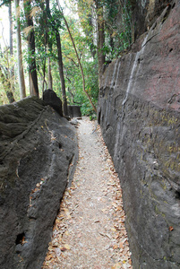 山路