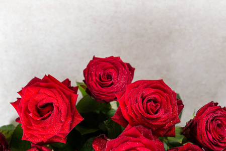一束红玫瑰为圣情人节