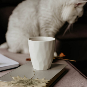一杯茶，里面有一本书，里面有秋叶笔记本和猫的概念