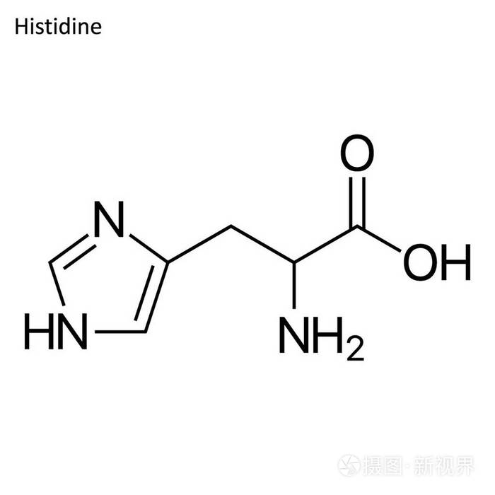骨骼配方. 氨基酸分子插画-正版商用图片13wbr3-摄图新视界