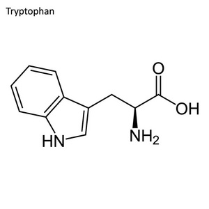 小分子氨基酸图片-小分子氨基酸素材-小分子氨基酸插画-摄图新视界