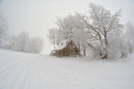 大山毛榉榉树下的小茅屋，远处有雪和黑狗的小径