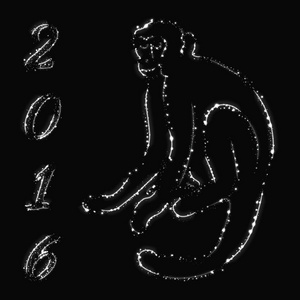 猴子剪影和2016年黑暗背景下的白光